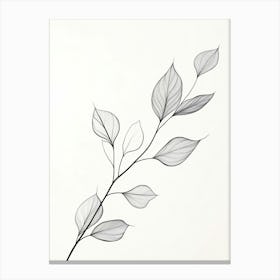 Leaves On A Branch 1 Canvas Print