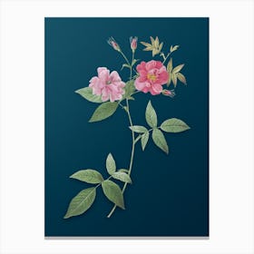 Vintage Hudson Rosehip Botanical Art on Teal Blue n.0135 Canvas Print