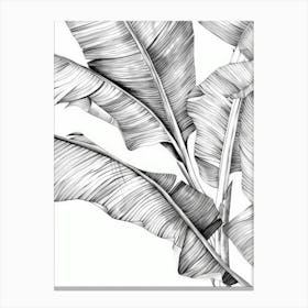 Banana Leaf 7 Canvas Print