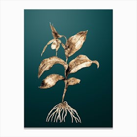 Gold Botanical Yellow Lady's Slipper Orchid on Dark Teal n.1709 Canvas Print