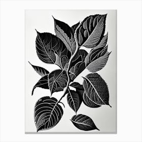 Serviceberry Leaf Linocut Canvas Print