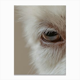 Close Up Of A Dog'S Eye.Generated AI. Art Print Canvas Print