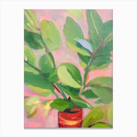 Baby Rubber Plant Impressionist Painting Canvas Print