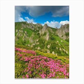 Pink Flowers In The Mountains 4 Canvas Print