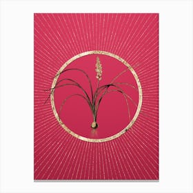 Gold Lachenalia Angustifolia Glitter Ring Botanical Art on Viva Magenta Canvas Print