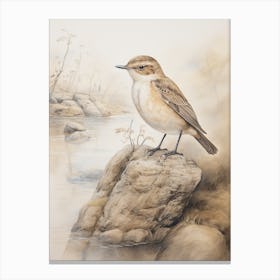 Vintage Bird Drawing Dipper 1 Canvas Print