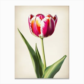 red tulip art Canvas Print