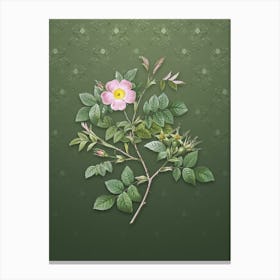 Vintage Malmedy Rose Botanical on Lunar Green Pattern n.1650 Canvas Print