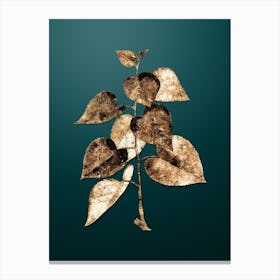 Gold Botanical Quaking Aspen on Dark Teal n.0532 Canvas Print