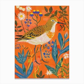 Spring Birds Dunlin 2 Canvas Print