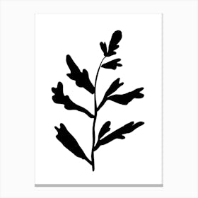 Oak Leaf Silhouette Canvas Print