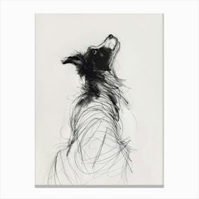 Border Collie Dog Charcoal Line 2 Canvas Print