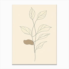 Leaf On A Branch 8 Canvas Print