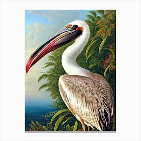 Brown Pelican Haeckel Style Vintage Illustration Bird Canvas Print