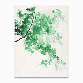 Green Ink Painting Of A Maidenhair Fern 4 Canvas Print