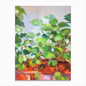 Fittonia 2 Impressionist Painting Plant Canvas Print