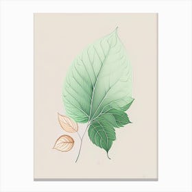 Mint Leaf Contemporary Canvas Print