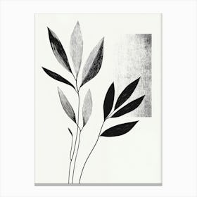 Black And White Leaves 1 Canvas Print