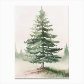 Balsam Tree Atmospheric Watercolour Painting 3 Canvas Print
