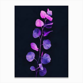 Eucalyptus 7 Canvas Print