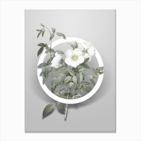 Vintage White Rose of Snow Minimalist Botanical Geometric Circle on Soft Gray n.0363 Canvas Print