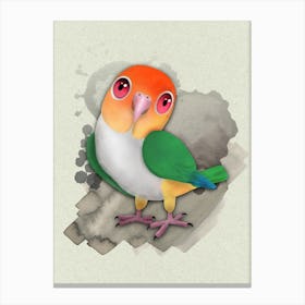 A funny white-bellied caique Canvas Print