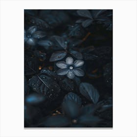 Dark Flowers Canvas Print