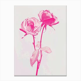 Hot Pink Rose 3 Canvas Print