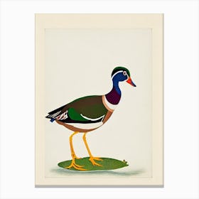 Wood Duck Illustration Bird Canvas Print