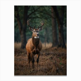 Deer In The Woods Canvas Print