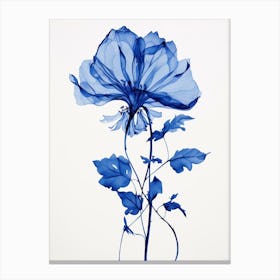 Blue Botanical Gloriosa Lily 4 Canvas Print