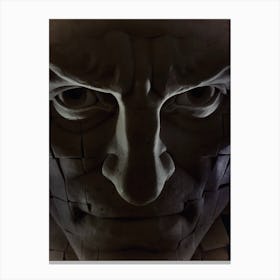 Face Of A Man Canvas Print