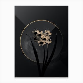 Shadowy Vintage Narcissus Easter Flower Botanical in Black and Gold n.0121 Canvas Print