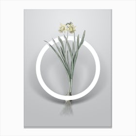 Vintage Lesser Wild Daffodil Minimalist Botanical Geometric Circle on Soft Gray n.0247 Canvas Print