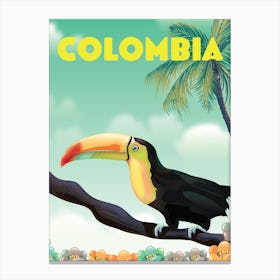 Toucan In Colombia Canvas Print