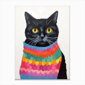 Baby Animal Wearing Sweater Cat 1 Canvas Print