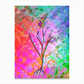 Ixia Secunda Botanical in Acid Neon Pink Green and Blue n.0217 Canvas Print