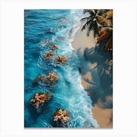 Aerial View Of A Tropical Beach 3 Canvas Print
