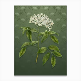 Vintage Elderberry Flowering Plant Botanical on Lunar Green Pattern n.0651 Canvas Print