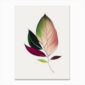 Rhododendron Leaf Abstract 3 Canvas Print