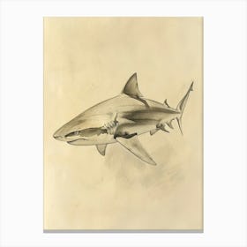Phoebefy A Pencil Crayon Drawing Of A Shark Centred 1970prese 82322e95 B79c 4eea 8cc5 9250fa76073c 3 Canvas Print