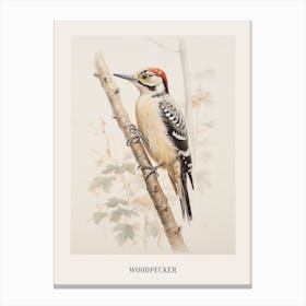 Vintage Bird Drawing Woodpecker 2 Poster Canvas Print