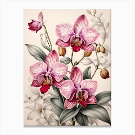 Orchids On A White Background Canvas Print