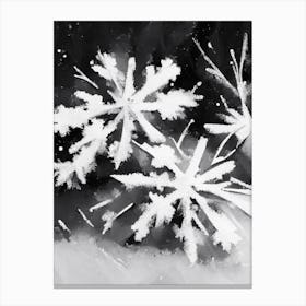 Fragile, Snowflakes, Black & White 2 Canvas Print