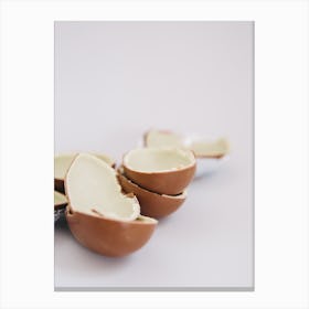 Chocolate Egg Shells Canvas Print