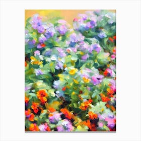 Hens And Chicks 2 Impressionist Painting Plant Canvas Print