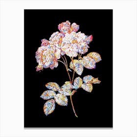 Stained Glass Pink Damask Rose Mosaic Botanical Illustration on Black n.0338 Canvas Print