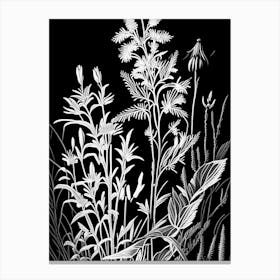 Fireweed Wildflower Linocut 1 Canvas Print