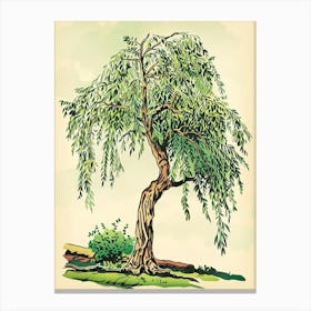 Willow Tree Storybook Illustration 1 Canvas Print