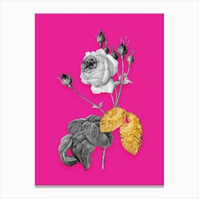 Vintage Cabbage Rose Black and White Gold Leaf Floral Art on Hot Pink n.0787 Canvas Print